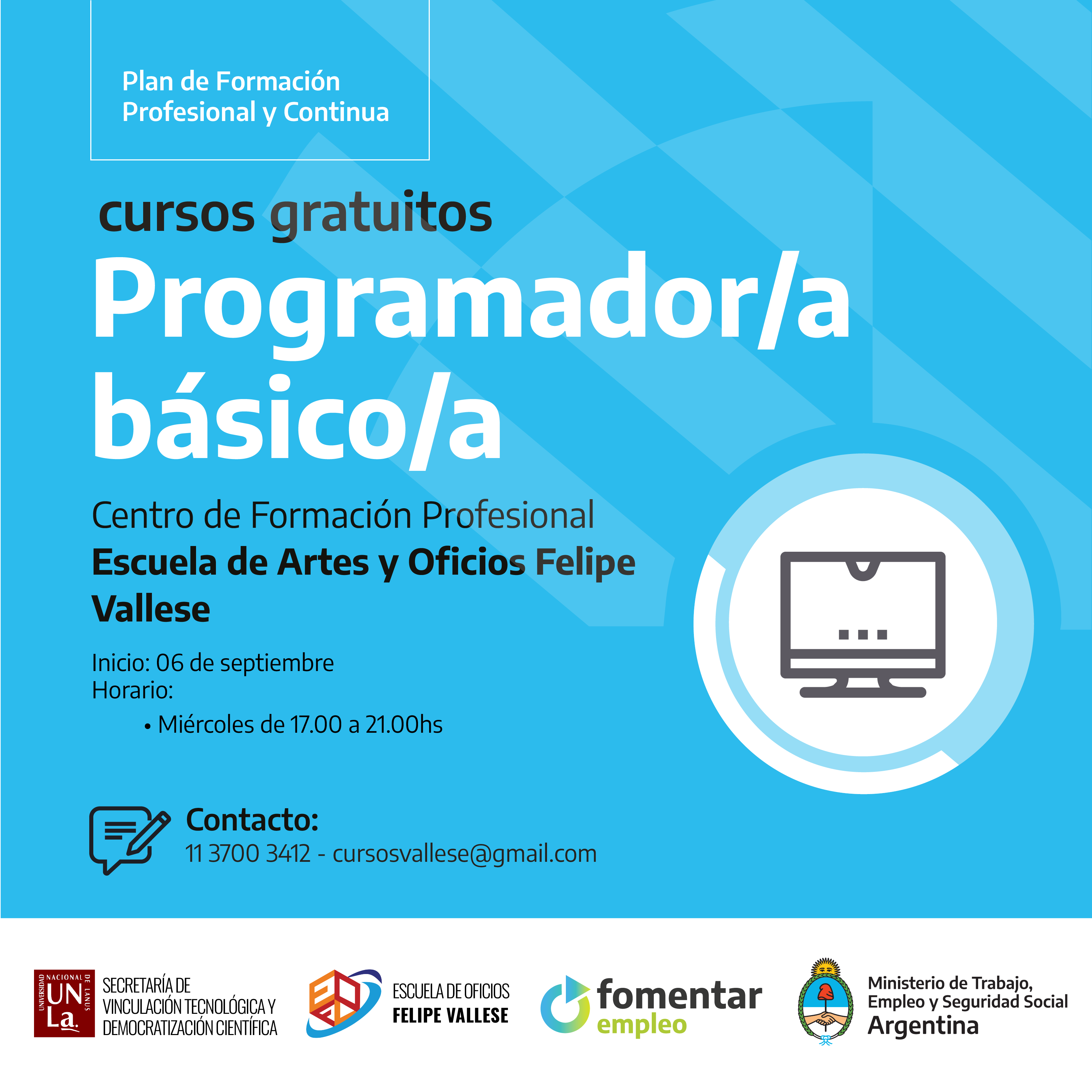 PROGRAMADOR BASICO