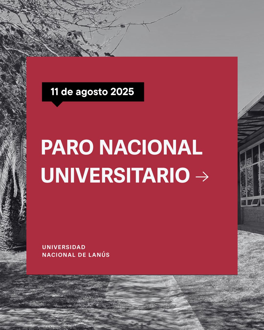 Paro Universitario Lunes 11 de agosto 